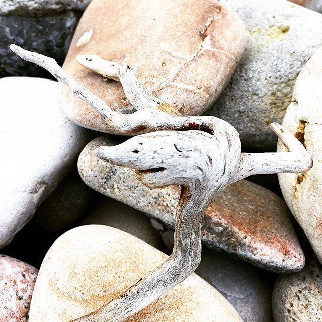 Driftwood washed smooth by pebbles on the beach, photographed by Viveka Alvestrand Jewellery.
